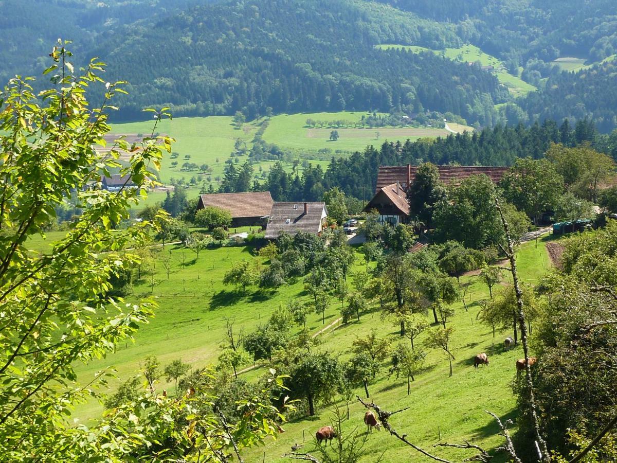 Ferienhaus Eck Villa Zell am Harmersbach Luaran gambar