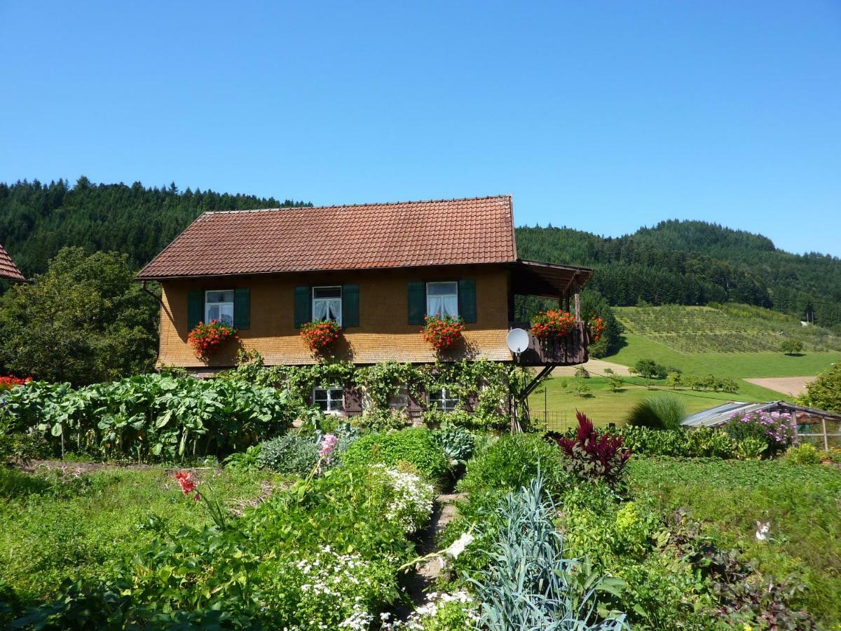 Ferienhaus Eck Zell am Harmersbach Luaran gambar